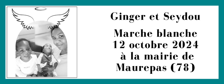 Marche blanche 12 octobre 2024 à la mairie de Maurepas (78) pour Ginger et Seydou